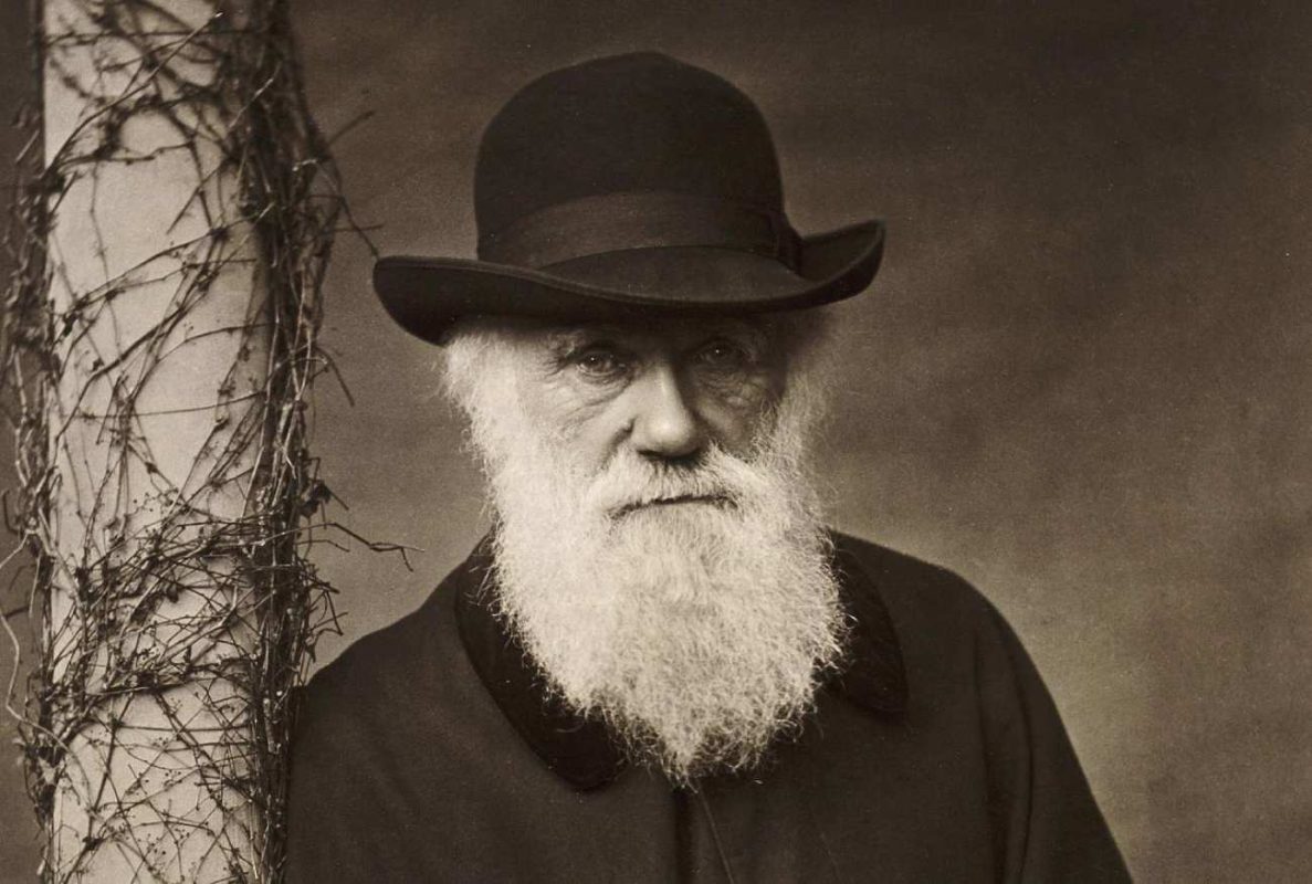چارلز داروین کیست