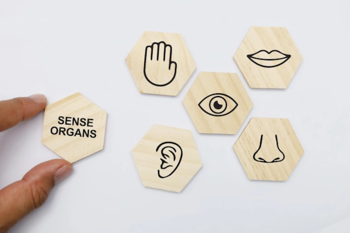 حواس پنجگانه برای کودکان
