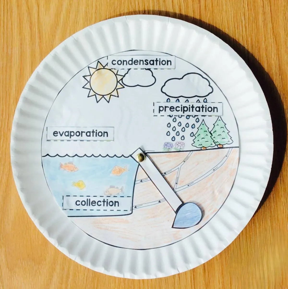 چرخه آب چیست